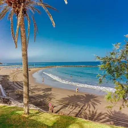 Alloggio in famiglia Apartamerica 341. Lujo.vista Mar Playa de las Americas (Tenerife)